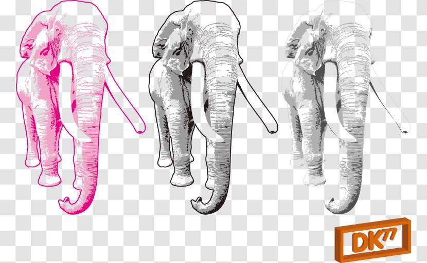 African Elephant Clip Art - Footwear - Three Elephants Transparent PNG