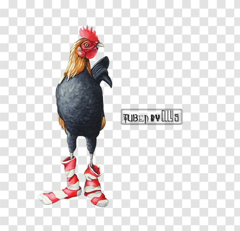 Rooster Chicken Sock Farm Pin - Art Transparent PNG