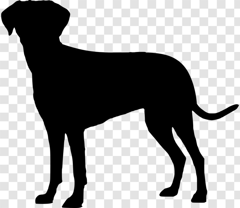 Labrador Retriever Puppy Image Clip Art Dog Breed - Carnivore - Coonhound Silhouette Transparent PNG