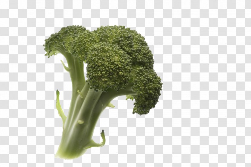 Broccoli Vegetable Fruit Plant Transparent PNG