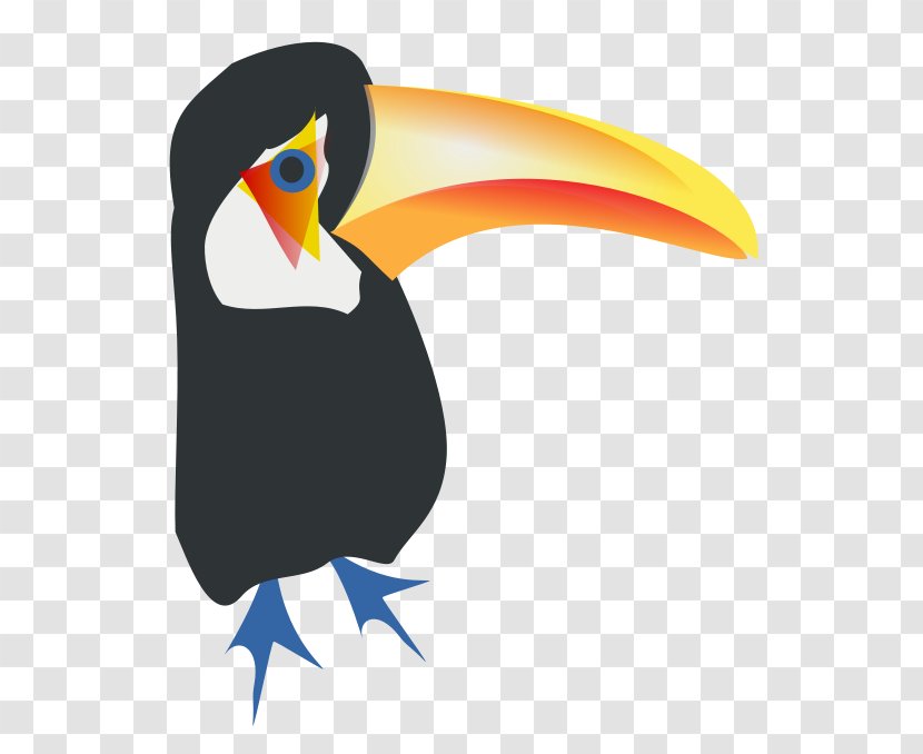 Bird Toco Toucan Piciformes Clip Art Transparent PNG