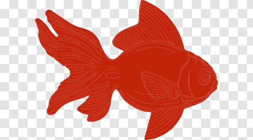 Desktop Wallpaper Clip Art - Cartoon - Orange Fish Transparent PNG