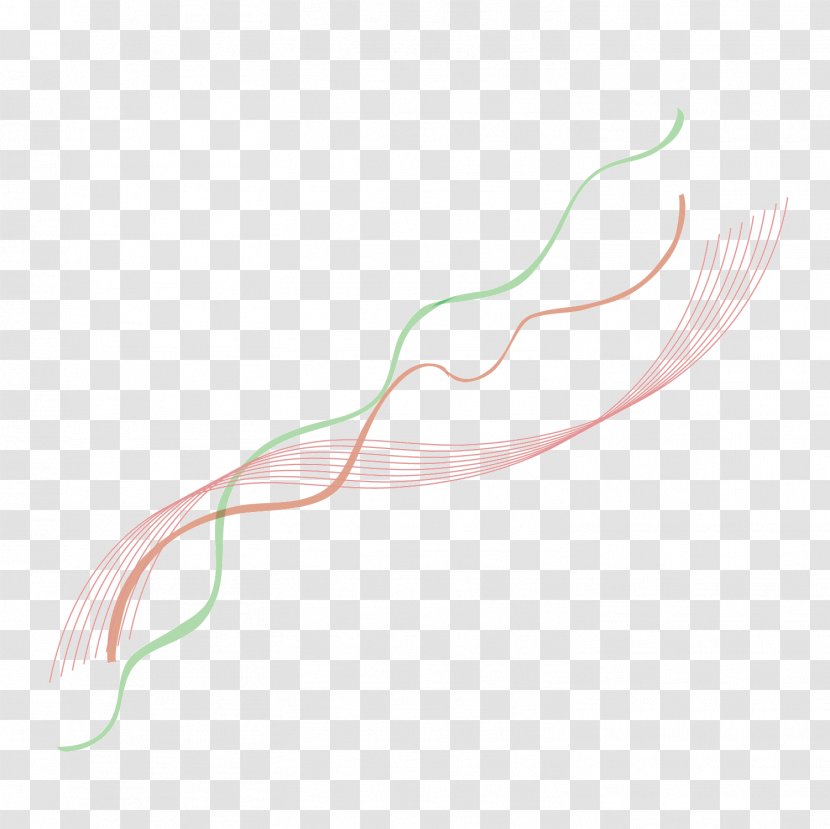 Olympic Games Euclidean Vector - Brown Ribbon - Fine Wire Streamer Transparent PNG