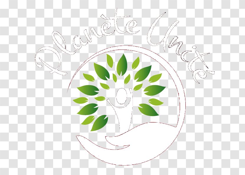 Petal Leaf Floral Design Transparent PNG