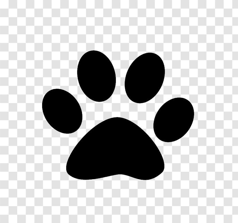 United States Paraveterinary Worker Veterinarian Veterinary Medicine Zazzle - Technician - Picture Of Paw Prints Transparent PNG