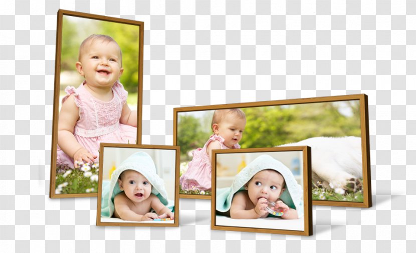 Picture Frames Collage Photomontage Photographic Paper - Photograph Album - Frame Transparent PNG