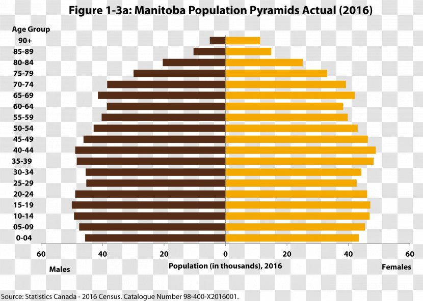 Population Pyramid United States Country O Brasil Que Dá Certo: Novo Ciclo De Crescimento, 1994-2005 - Yellow Transparent PNG