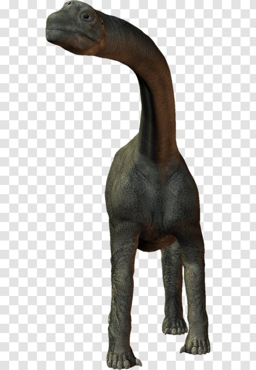 Velociraptor Tyrannosaurus Terrestrial Animal Snout Transparent PNG