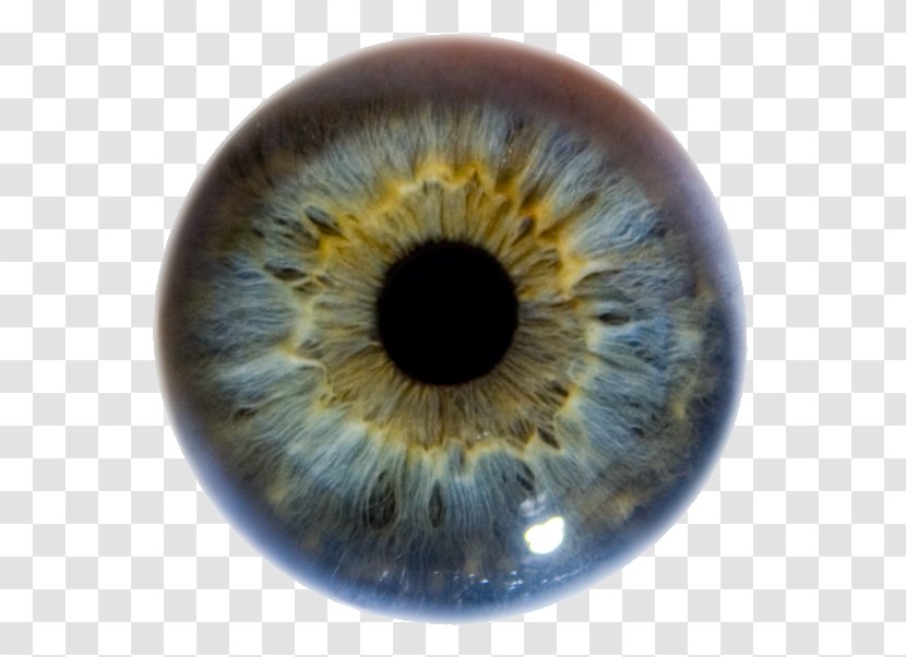 Iris Human Eye Pupil Color - Heart Transparent PNG