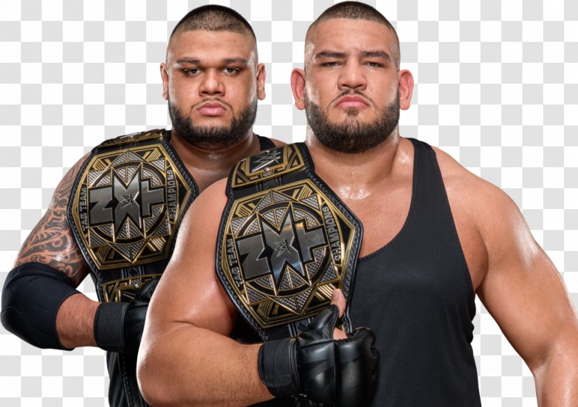 Gzim Selmani Johnny Gargano The Authors Of Pain NXT Women's Championship Tag Team - Cartoon - Injury Trouble Transparent PNG