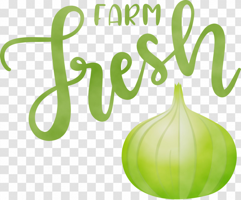 Vegetable Logo Font Plant Green Transparent PNG