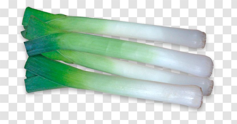 Garden Leek Image Onion - Plant - Baby Leeks Transparent PNG