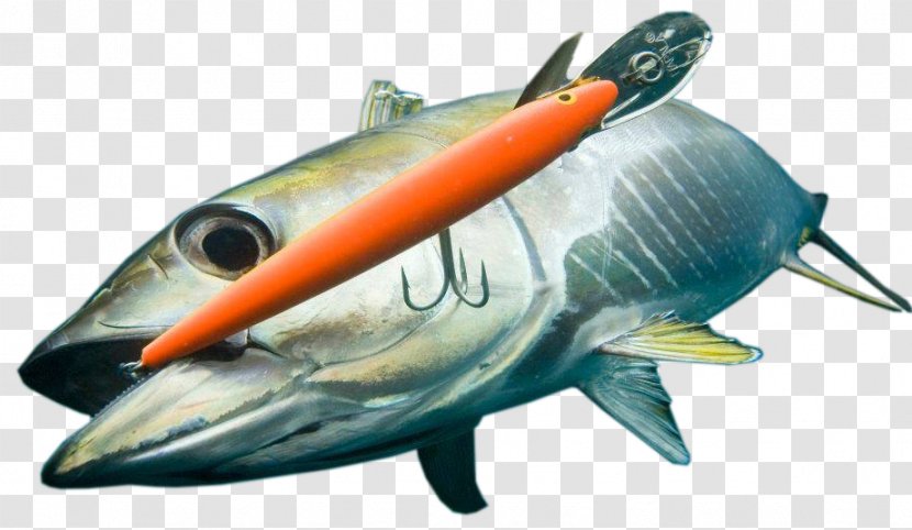 Recreational Fishing Atlantic Bluefin Tuna Rapala Big-game - Fish Hook Transparent PNG