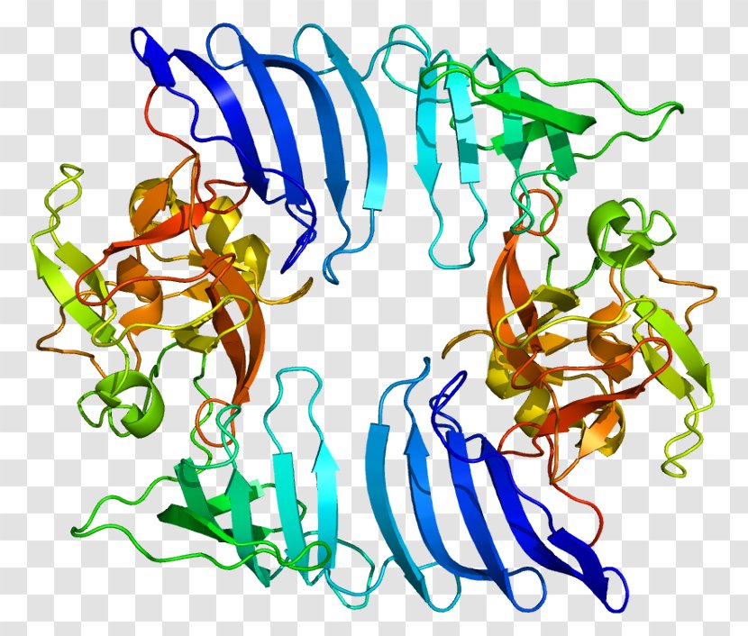 SETD7 Histone Methyltransferase Gene - Area Transparent PNG
