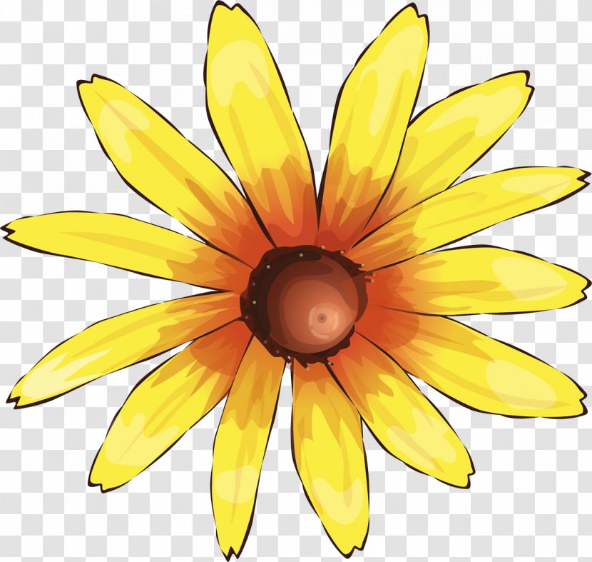 Symmetry Fruit - Flower - Sunflower Transparent PNG