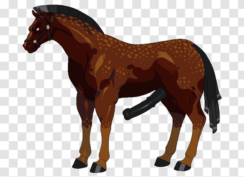 Mustang Stallion Andalusian Horse Foal Mare - All About Birds Transparent PNG