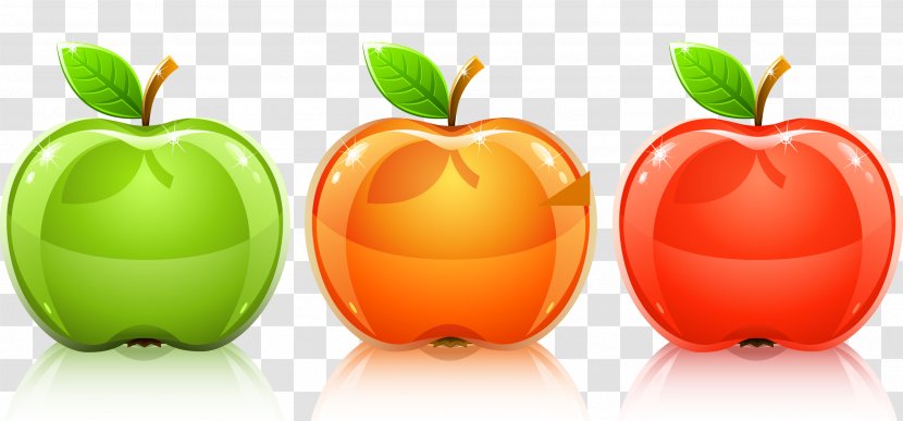 Royalty-free Stock Illustration - Drawing - Vector Painted Apple Transparent PNG