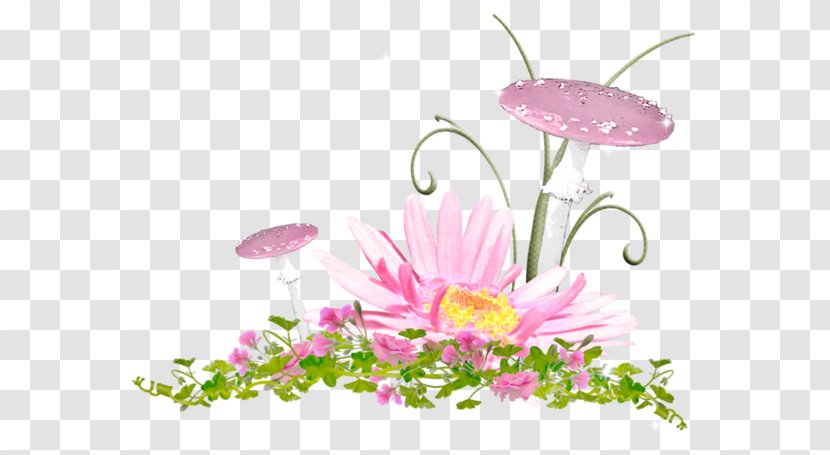 Plant Stem - Flower - Watercolor Transparent PNG
