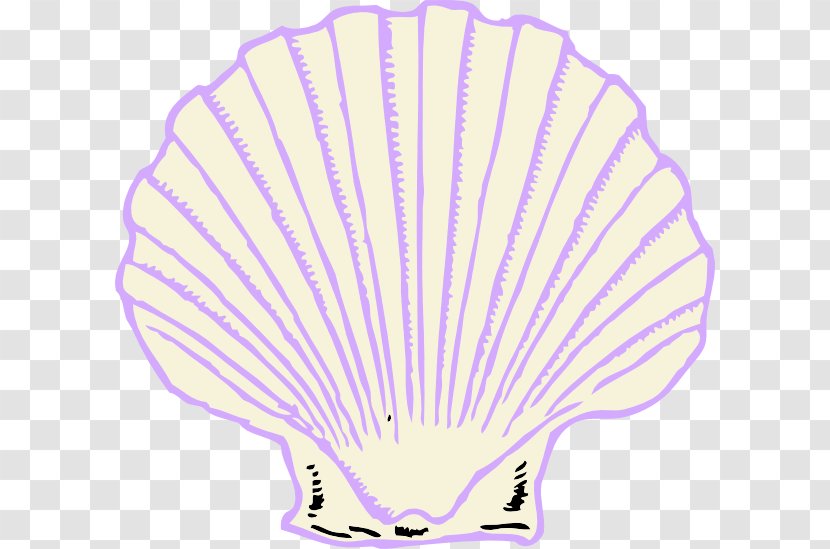 Seashell The Oyster-Shell Clip Art - Wing Transparent PNG