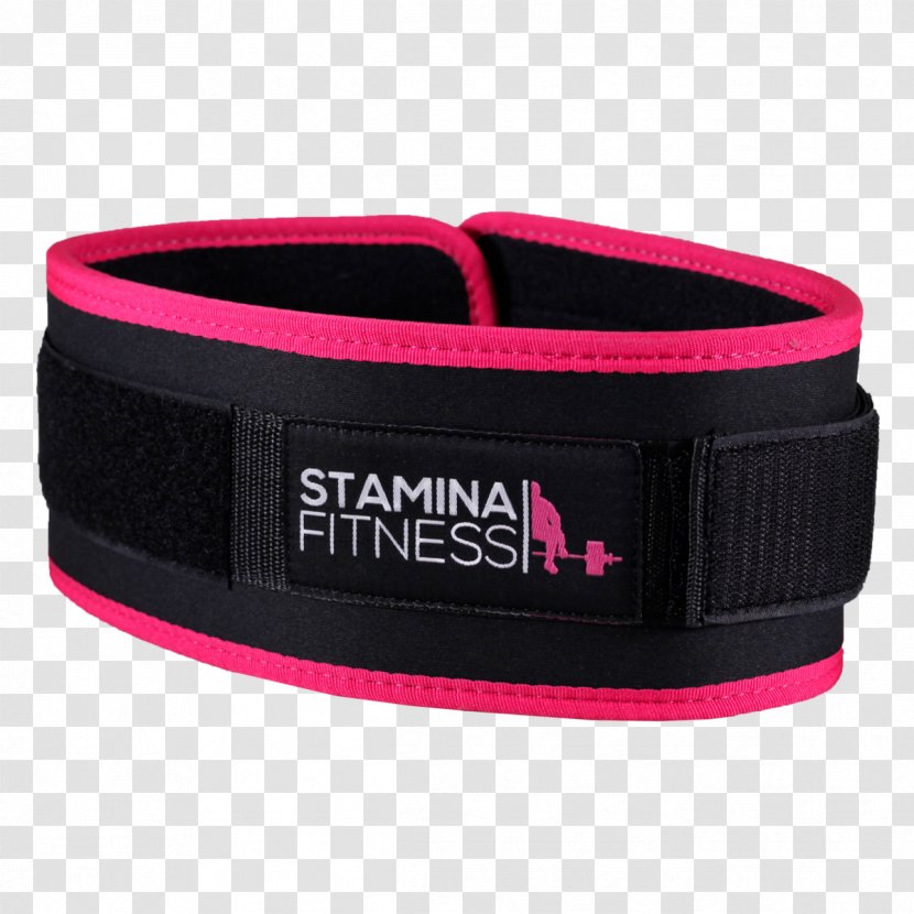 Belt Physical Fitness Endurance Exercise CrossFit - Athlete - Fit Woman Transparent PNG