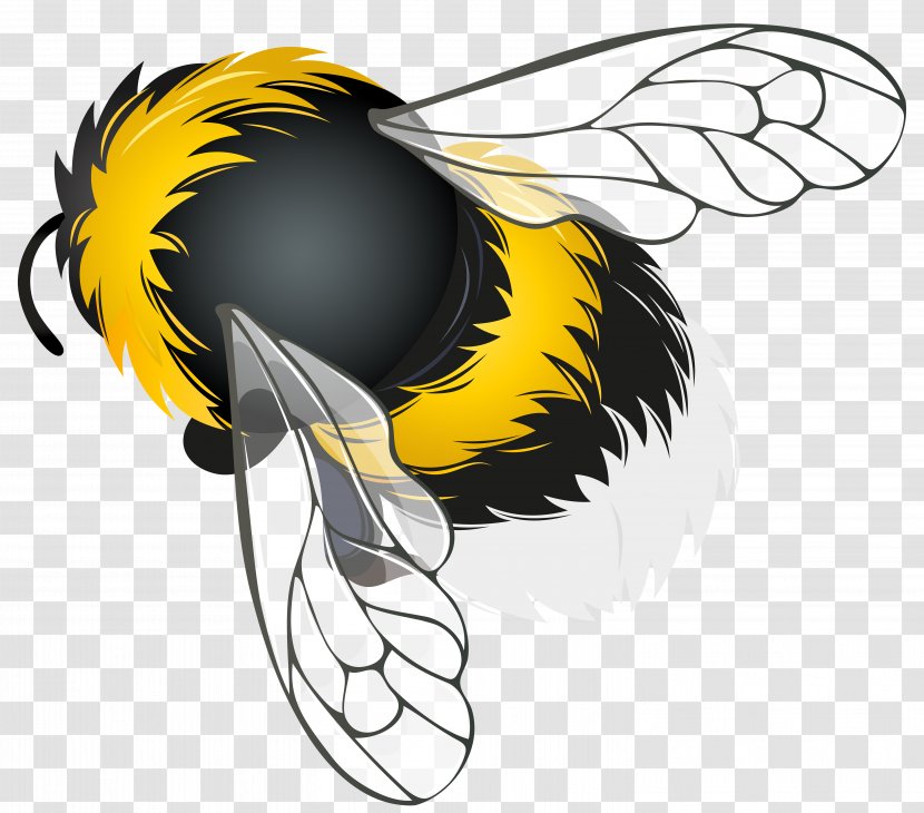 Honey Bee Insect Clip Art - Pollinator Transparent PNG