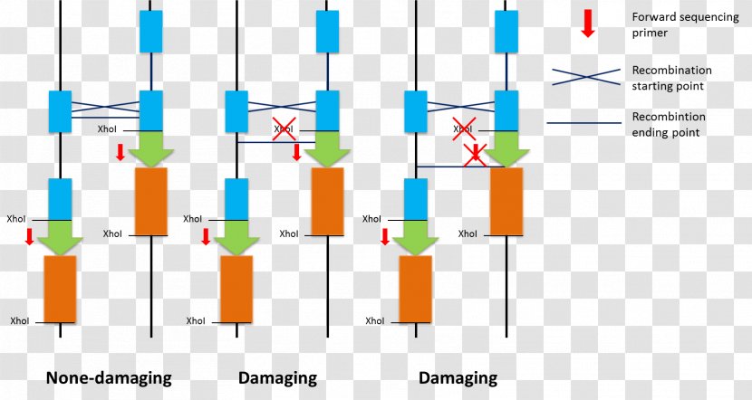 Line Technology Angle - Organization Transparent PNG