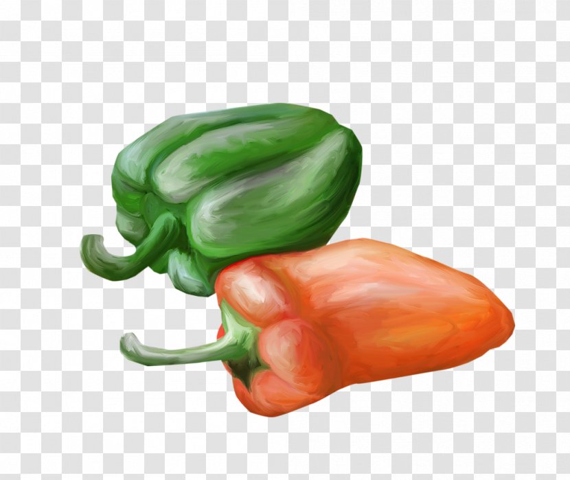 Bell Pepper Jalapexf1o Habanero Serrano Cayenne - Paprika - Green Transparent PNG