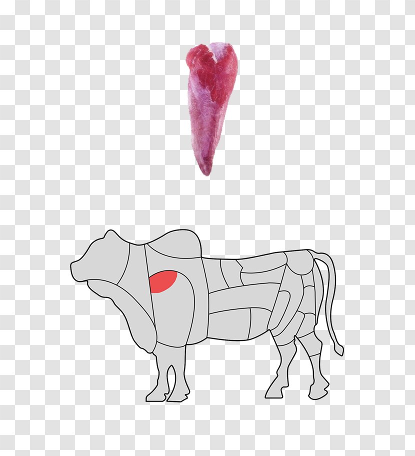 Canidae Horse Dog Finger - Flower Transparent PNG