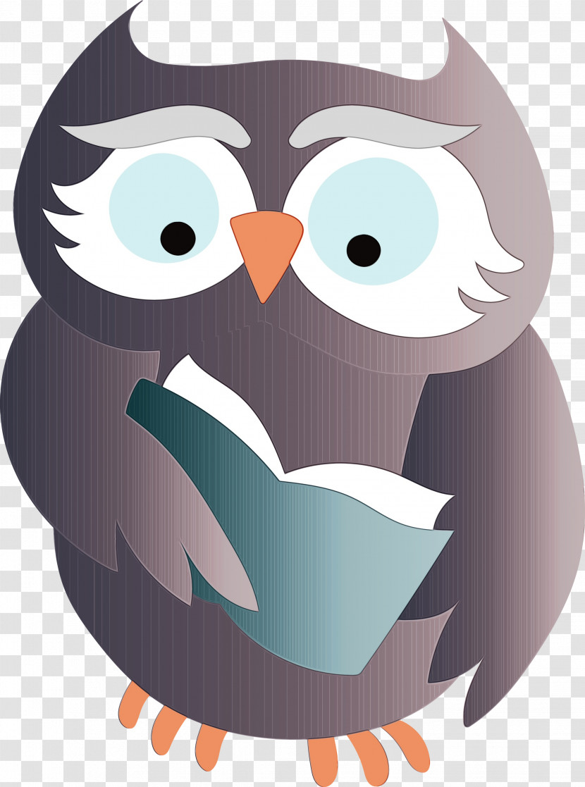 Birds Beak Cartoon Bird Of Prey Owl M Transparent PNG