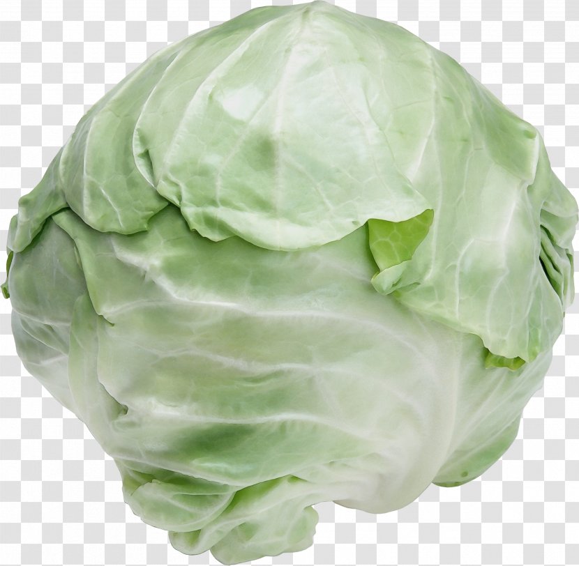 Cabbage Iceburg Lettuce Cruciferous Vegetables Vegetable Wild - Brussels Sprout Plant Transparent PNG
