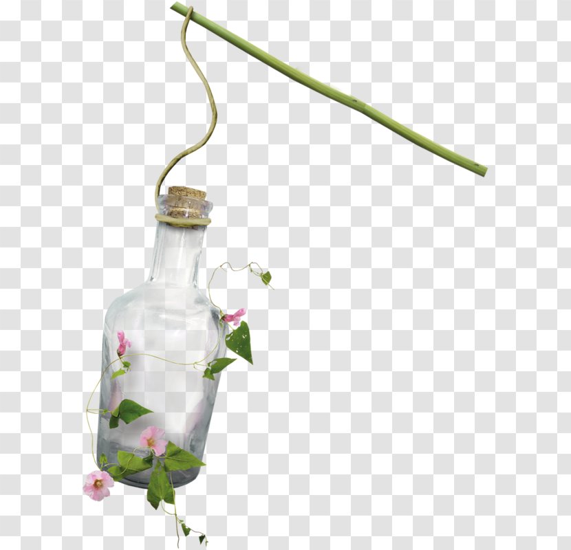 Drifting Bottle - Plant Stem - Flora Transparent PNG