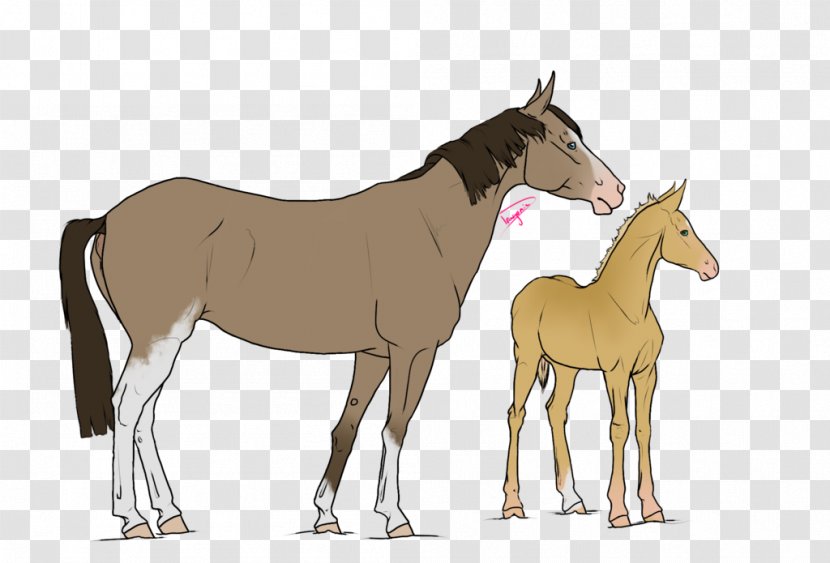 Mule Foal Stallion Mare Colt - Mustang Transparent PNG