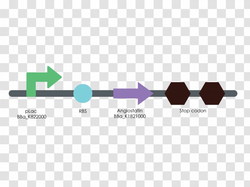 Brand Logo Line - Diagram Transparent PNG