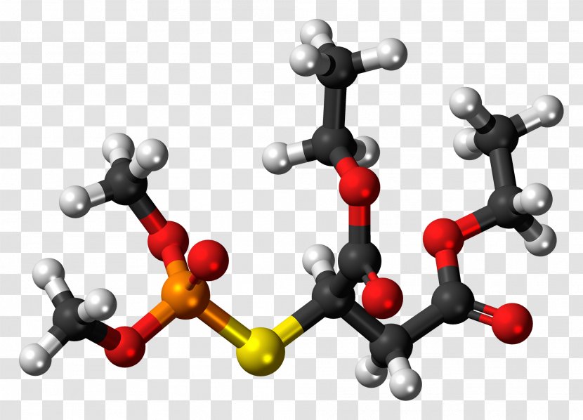 Isomalathion Molecule Molecular Modelling Ball-and-stick Model Jmol - Cartoon - Moleculef Transparent PNG