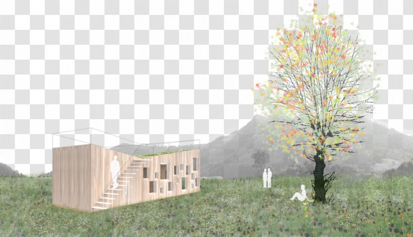 Architecture Landscape Property - Tree - Cabana Transparent PNG