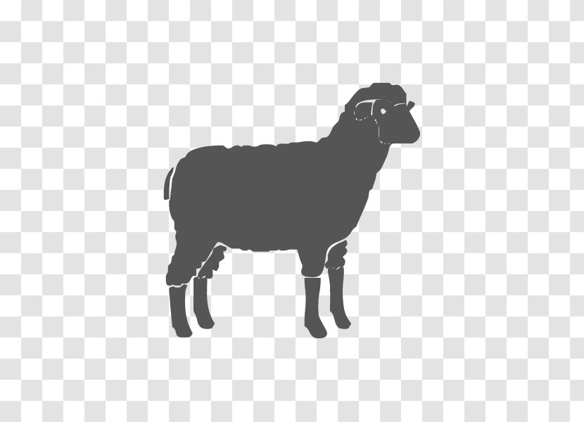 Sheep Dog Goat Veterinarian Shepherd - Animal Transparent PNG