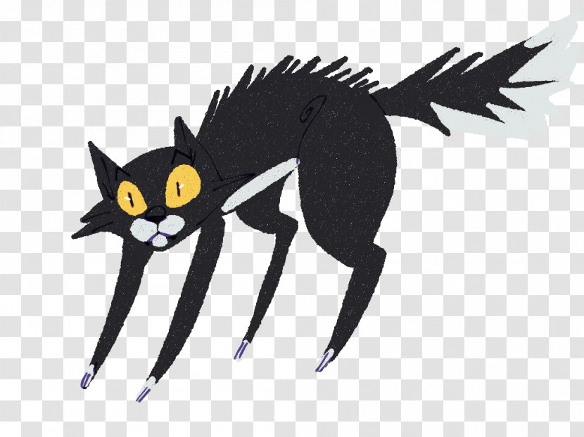 Whiskers Cat Dog Canidae - Like Mammal Transparent PNG