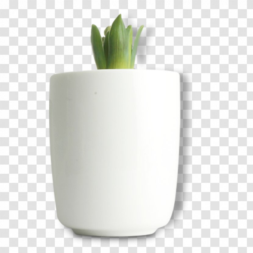 Bonsai Flowerpot - Ornamental Plant - Potted Aloe Pull Material Free Transparent PNG