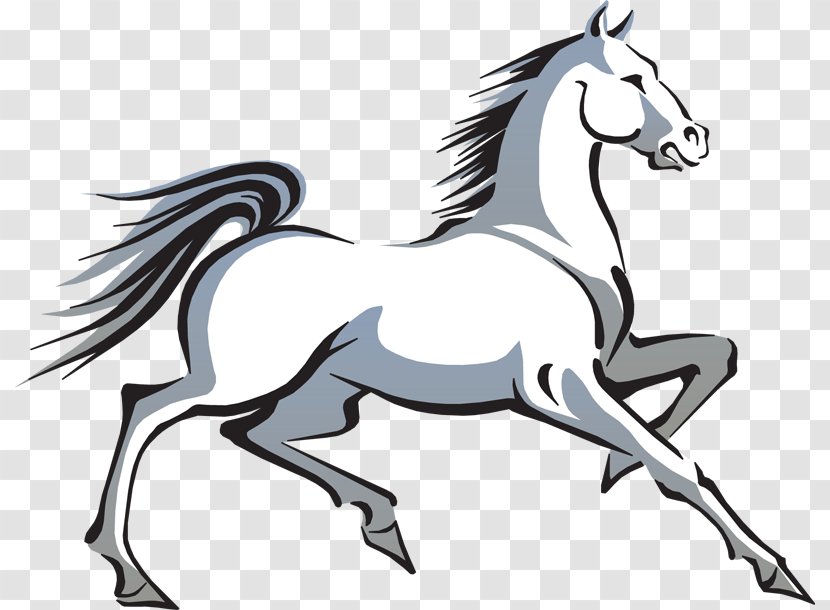 Horse Pony Stallion Clip Art - Colt Transparent PNG
