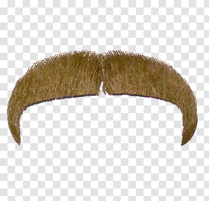 Moustache Beard Transparent PNG