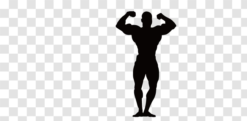 Bodybuilding Physical Fitness Centre Olympic Weightlifting - Robust Man Transparent PNG