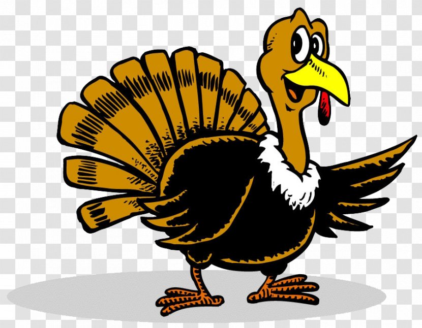 Plymouth Rock Thanksgiving Turkey Cartoon Clip Art - Meat - Free Images Transparent PNG