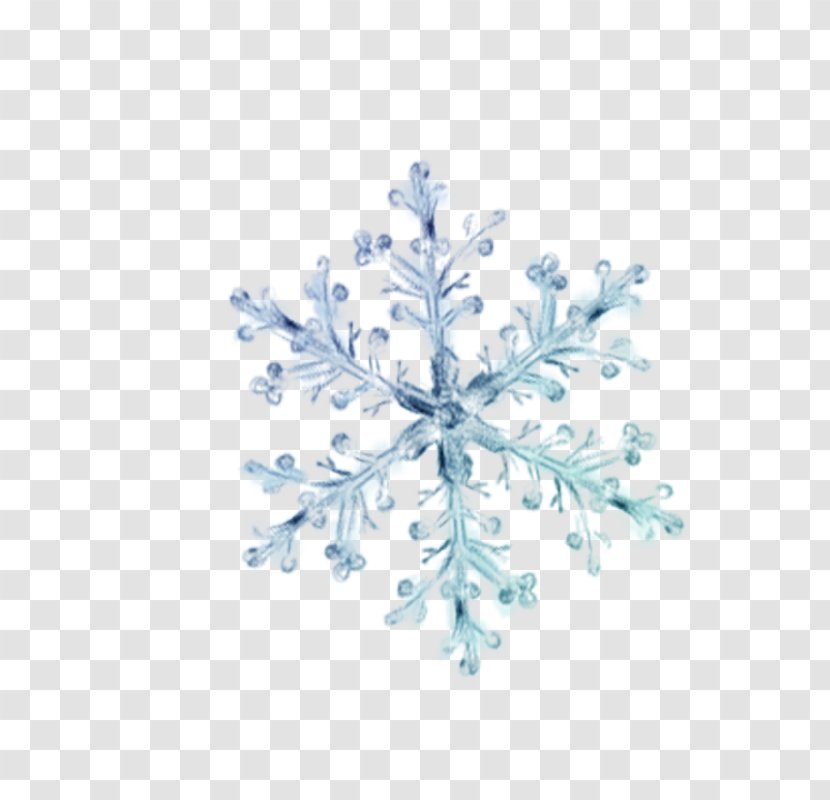 Snowflake Crystal Transparent PNG