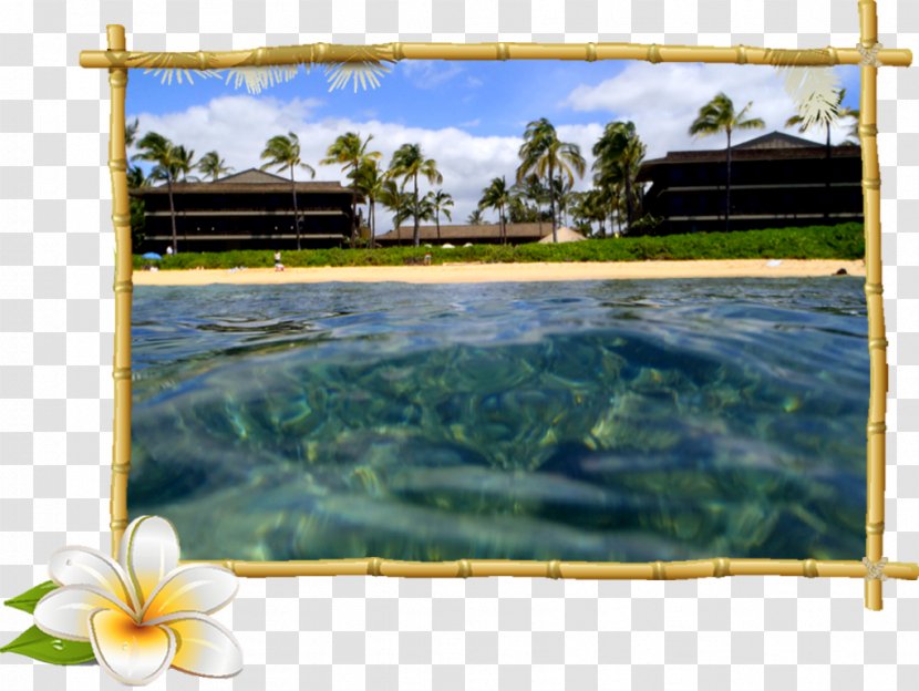 Hoku Water Sports Poipu Beach Picture Frames Road - Tropical Frame Transparent PNG