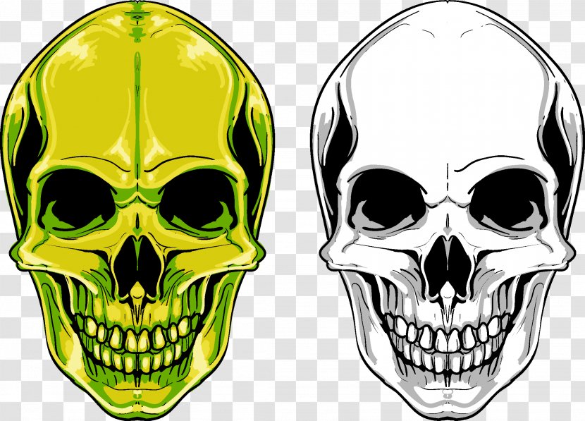 Skull Euclidean Vector - Graphic Arts Transparent PNG