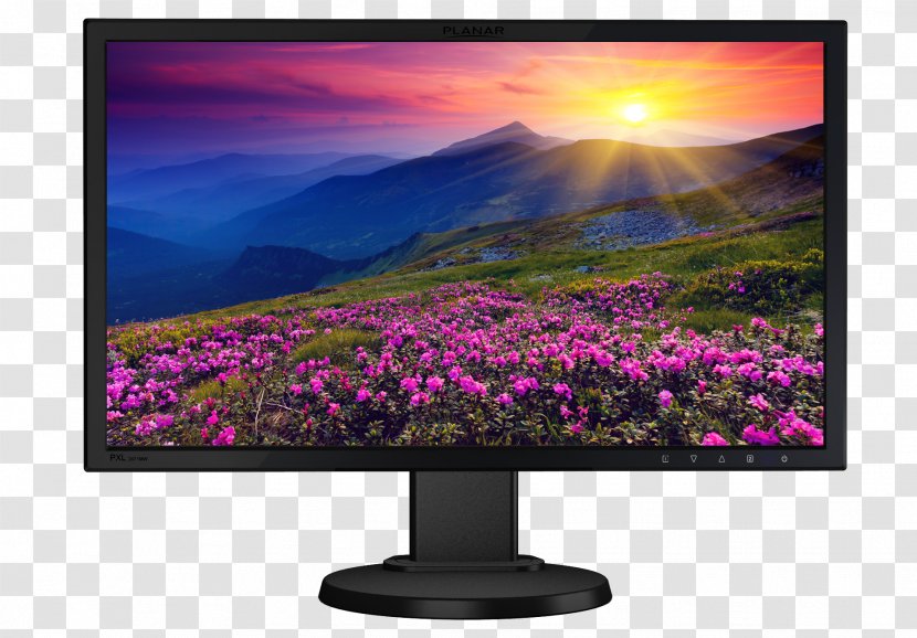 LED-backlit LCD Computer Monitors Liquid-crystal Display Television Set High-definition - Monitor - Planar Transparent PNG