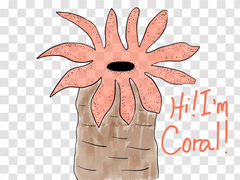 Coral Polyp Sketch Drawing Graphics - Colony Transparent PNG