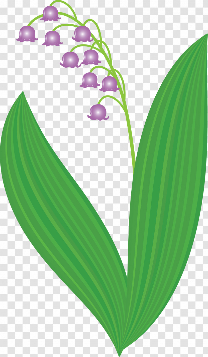 Lily Bell Flower Transparent PNG