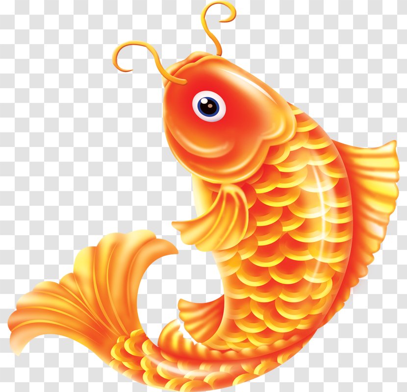 Common Carp Goldfish - Fish Pictures Transparent PNG