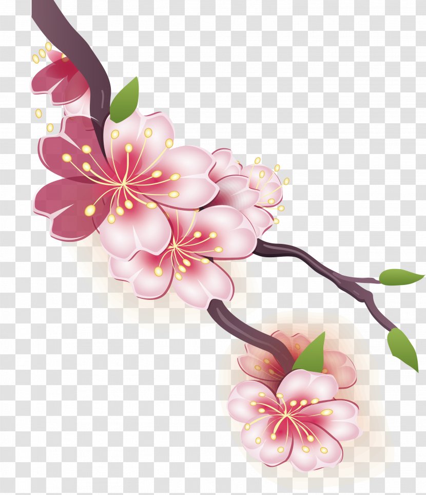 Cherry Blossom Drawing Watercolor Painting - Plant - Design Transparent PNG